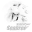 Logo Radio SeaBreeze