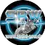 Logo Radio-SRW