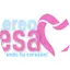 Logo Stereo Besame