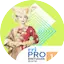 Logo RRI Pro 1 - Bintuhan