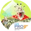Logo RRI Pro 1 - Sendawar