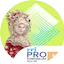 Logo RRI Pro 1 - Sungailiat