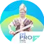 Logo RRI Pro 2 - Ende