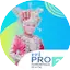 Logo RRI Pro 2 - Gorontalo