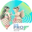 Logo RRI Pro 4 - Yogyakarta