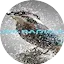 Logo Nature Radio Sleep