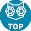 Logo Sky Plus Top