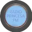 Logo Rádio Princesa FM