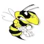 Logo Mad Wasp Radio