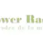 Power Radio