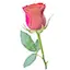 Logo Rondallas y Romance