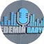 Logo Dedemin Radyosu