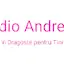 Logo Radio Andreea Romania