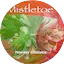 Logo 113.FM Mistletoe