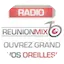 Logo Radio Reunion Mix