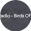Logo Tdog.Radio - Birds Of Tokyo