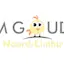 Logo FM Goud Limburg