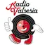 Logo Radio Valsesia