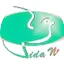Logo Rádio Web Vida Nova