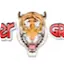 Logo Tiger GRadio