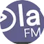 Logo PlayFM 95.9