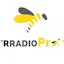 Logo Asher Radio Prime