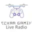 Logo Neckar Gaming