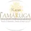 Radio Tamarugal