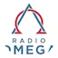 Logo Radio Omega Pereira + Sevilla