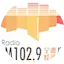 Logo Ningbo Economics Radio