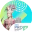 Logo RRI Pro 4 - Manado