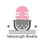 Logo Voicesgh Radio