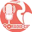 Logo Bangau 90 Radio