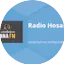 Logo Radio Hosanna FM