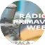 Logo Rádio Primavera Web