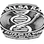 Logo Adn Salsa Radio