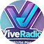 Logo Vive Radio 88.1 fm