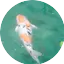 Logo Whispering Pond