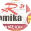 Logo Radio Romika FM