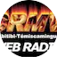 Logo CRMV Abitibi Rock