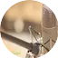 Logo CHfmonline