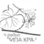 Logo Lipa kraj Morave