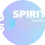 Logo 1025 Spirit Fm