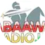 Logo Abaawa UK