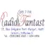 Logo Radio Fantastic 95.7 FM