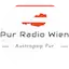 Logo Austropop Pur