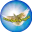 Logo RadioVrijevogel