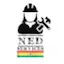 Logo Radio NED