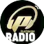 Logo Platinum Radio