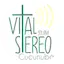 Logo Vital Stereo